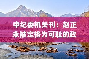 中纪委机关刊：赵正永被定格为可耻的政治两面人、两面派