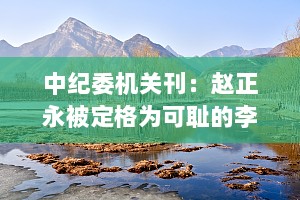 中纪委机关刊：赵正永被定格为可耻的李万晴政治两面人