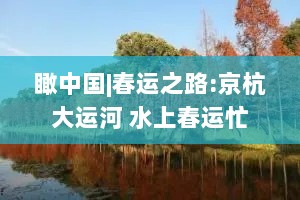 瞰中国|春运之路:京杭大运河 水上春运忙