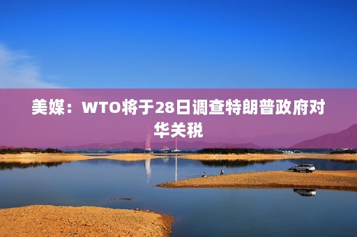 美媒：WTO将于28日调查特朗普政府对华关税