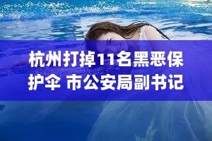 杭州打掉11名黑恶保护伞 市公安局副书记涉黑落马